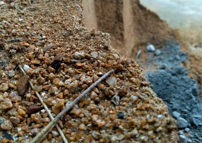 土壤固化剂价格每亩地用多少斤合适?